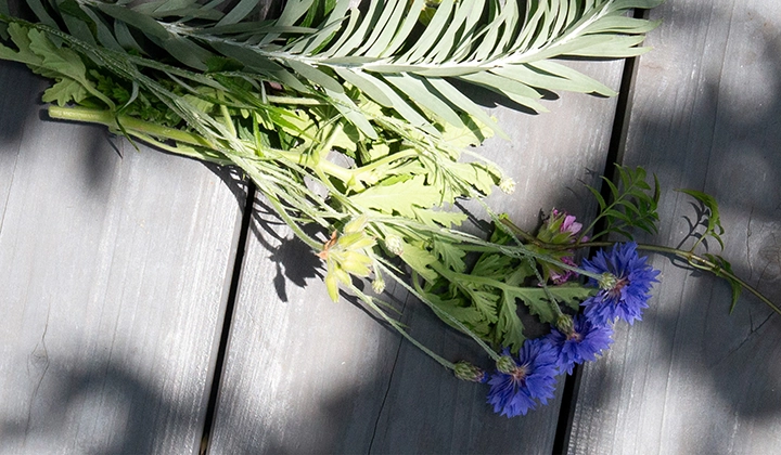 Edible KAYABA EN - YOEN | 人と自然のあいだに