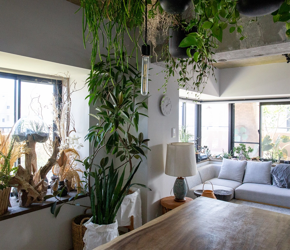 YOEN House & Studio - YOEN | 人と自然のあいだに